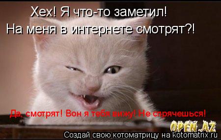 Хех! Я что-то заметил! На меня в интернете смотрят?! Да, смотрят! Вон я тебя вижу! Не спрячешься!... Котоматрица: Хех! Я что-то заметил! На меня в интернете смотрят?! Да, смотрят! Вон я тебя вижу! Не спрячешься!