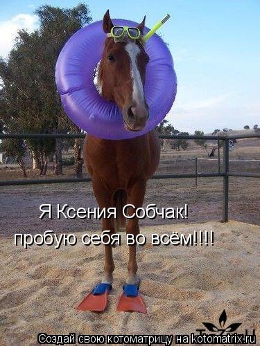Котоматрица: Я Ксения Собчак! Я Ксения Собчак! пробую себя во всём!!!!