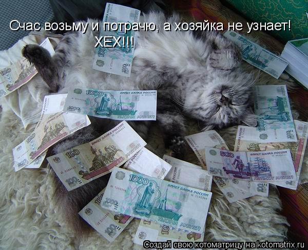 Счас возьму и потрачю, а хозяйка не узнает! ХЕХ!!!... Котоматрица: Счас возьму и потрачю, а хозяйка не узнает! ХЕХ!!!