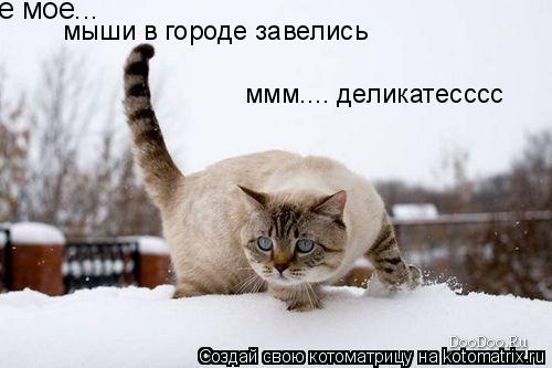 Котоматрица: е мое... мыши в городе завелись ммм.... деликатесссс