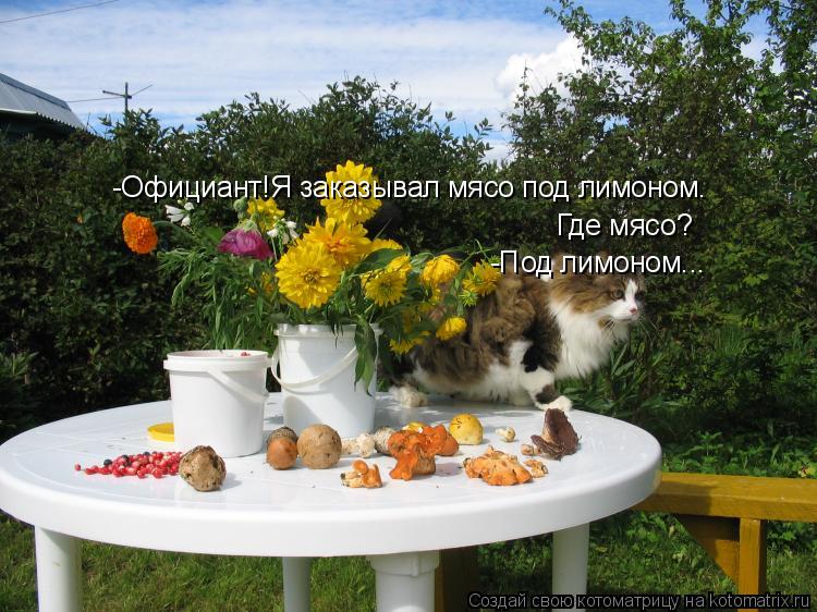 -Официант!Я заказывал мясо под лимоном. Где мясо? -Под лимоном...... Котоматрица: -Официант!Я заказывал мясо под лимоном. Где мясо? -Под лимоном...