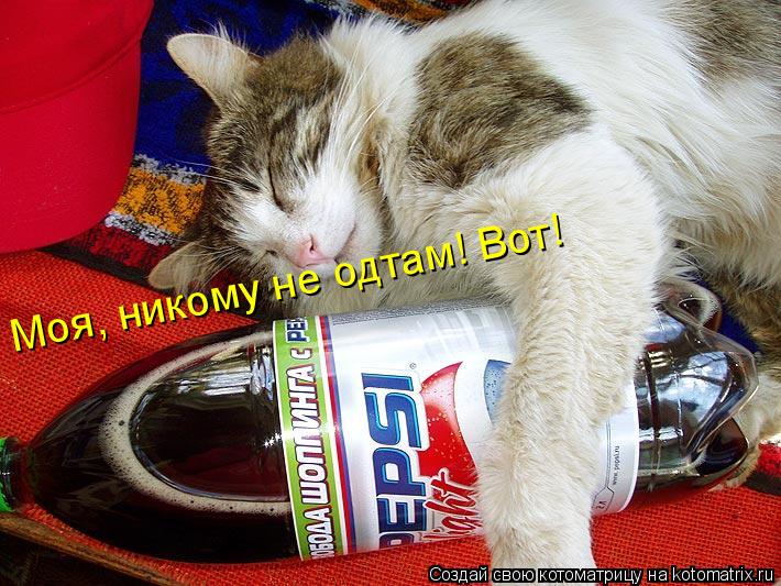Моя, никому не одтам! Вот!... Котоматрица: Моя, никому не одтам! Вот!