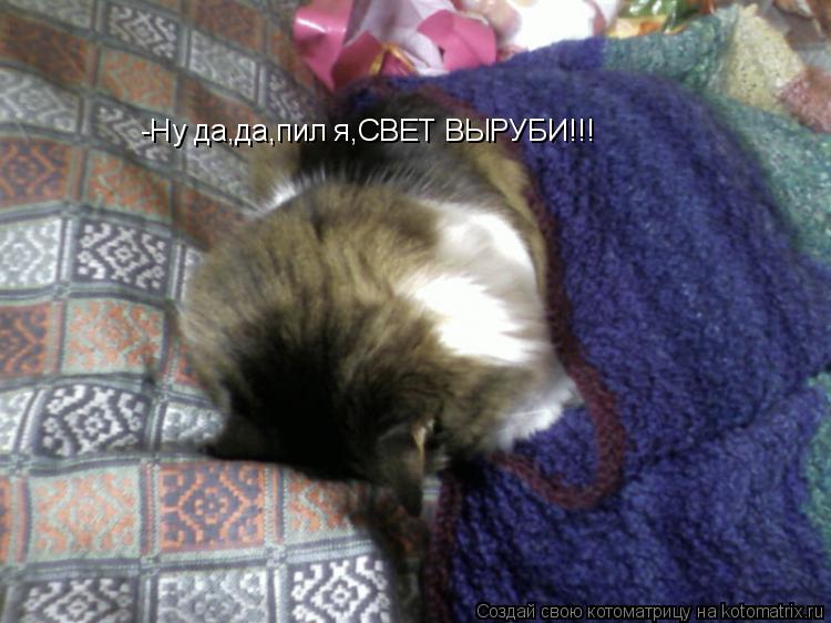 -Ну да,да,пил я,СВЕТ ВЫРУБИ!!!... Котоматрица: -Ну да,да,пил я,СВЕТ ВЫРУБИ!!!