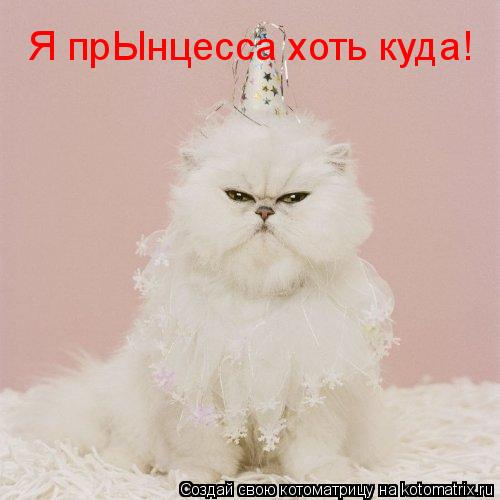 Я прЫнцесса хоть куда!... Котоматрица: Я прЫнцесса хоть куда!