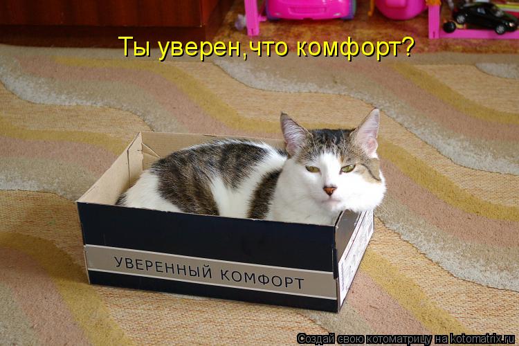 Ты уверен,что комфорт?... Котоматрица: Ты уверен,что комфорт?
