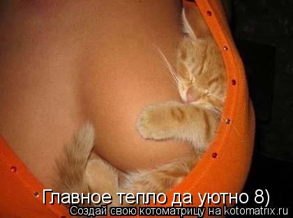 Главное тепло да уютно 8)... Котоматрица: Главное тепло да уютно 8)