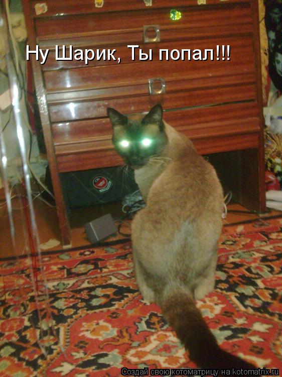 Котоматрица: Ну Шарик, Ты попал!!!