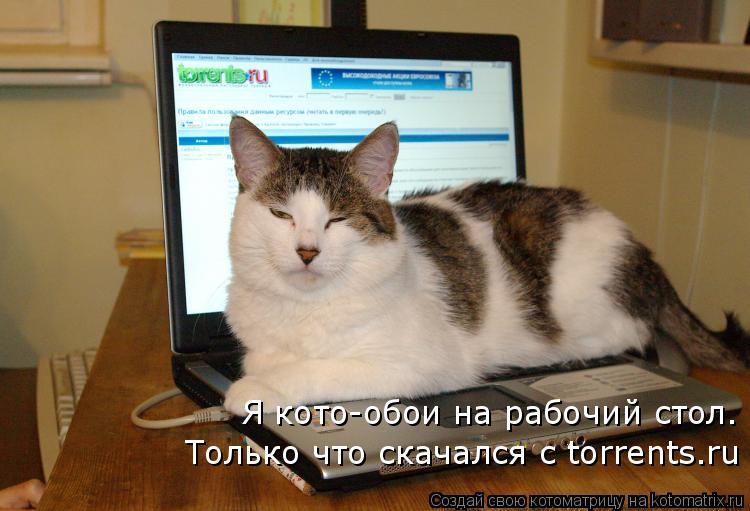 Только что скачался с torrents.ru Я кото-обои на рабочий стол.... Котоматрица: Только что скачался с torrents.ru Я кото-обои на рабочий стол.