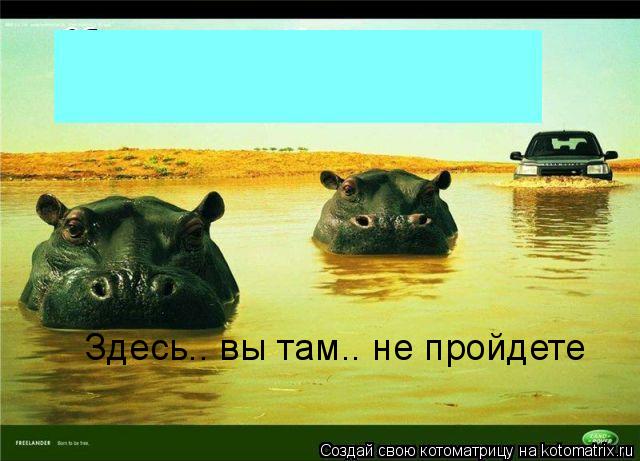 Здесь.. вы там.. не пройдете... Котоматрица: Здесь.. вы там.. не пройдете