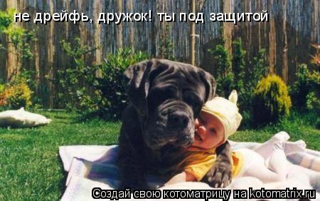 Котоматрица: не дрейфь, дружок! ты под защитой