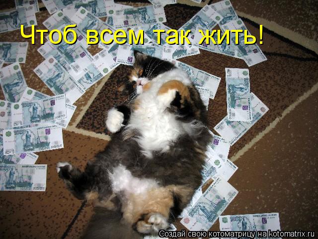 Чтоб всем так жить!... Котоматрица: Чтоб всем так жить!
