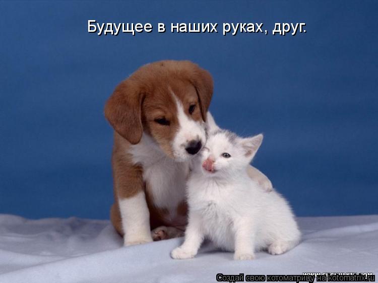 Котоматрица: Будущее в наших руках, друг.