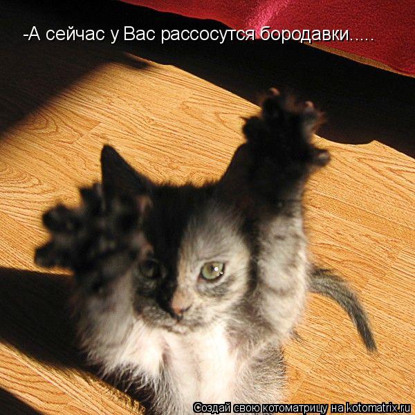 -А сейчас у Вас рассосутся бородавки........ Котоматрица: -А сейчас у Вас рассосутся бородавки.....