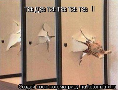та да та та та та ! та да та та та та !... Котоматрица: та да та та та та ! та да та та та та !