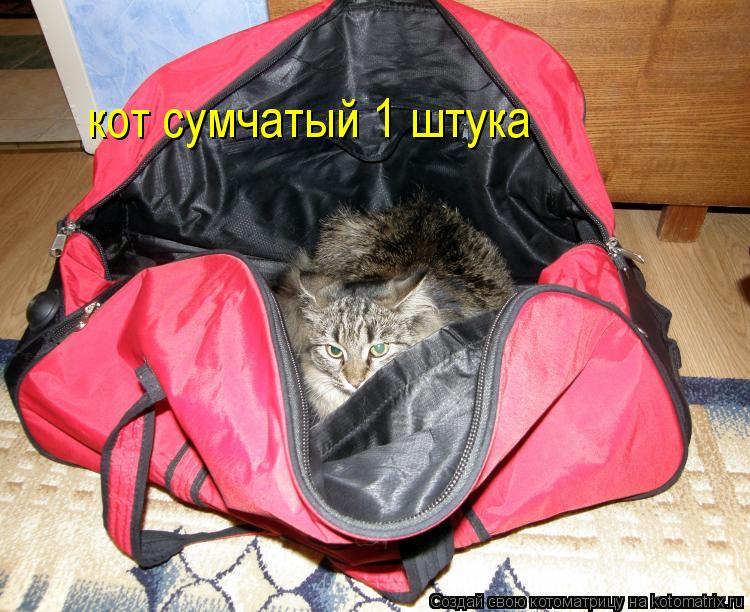 Котоматрица: кот сумчатый 1 штука