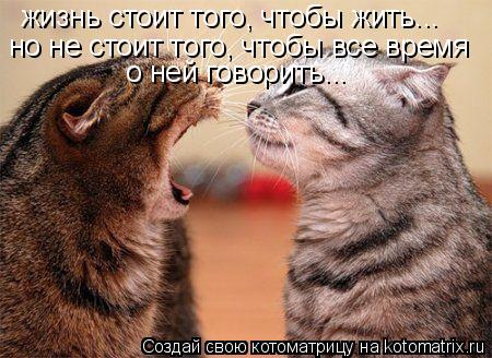 жизнь стоит того, чтобы жить... но не стоит того, чтобы все время о ней говорить...... Котоматрица: жизнь стоит того, чтобы жить... но не стоит того, чтобы все время о ней говорить...