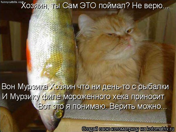Хозяин, ты Сам ЭТО поймал? Не верю... Вон Мурзика Хозяин что ни день-то с рыбалки И Мурзику филе моро... Котоматрица: Хозяин, ты Сам ЭТО поймал? Не верю... Вон Мурзика Хозяин что ни день-то с рыбалки И Мурзику филе мороженного хека приносит Вот это я понимаю. В