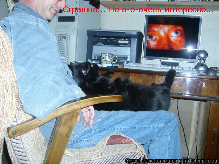 Страшно... Но о-о-очень интересно...... Котоматрица: Страшно... Но о-о-очень интересно...
