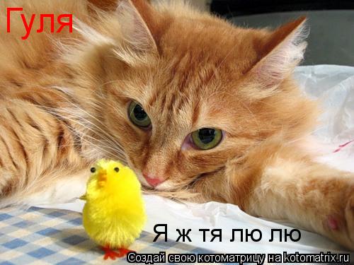 Котоматрица: Гуля Я ж тя лю лю