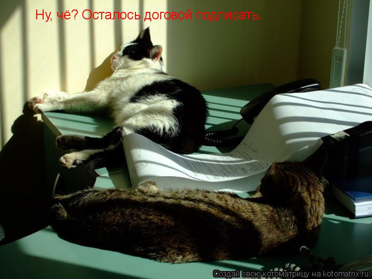 Ну, чё? Осталось договой подписать.... Котоматрица: Ну, чё? Осталось договой подписать.
