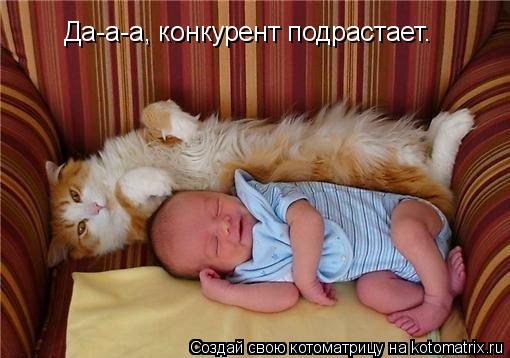 Котоматрица: Да-а-а, конкурент подрастает.