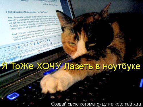 Я ТоЖе ХОЧУ Лазеть в ноутбуке... Котоматрица: Я ТоЖе ХОЧУ Лазеть в ноутбуке