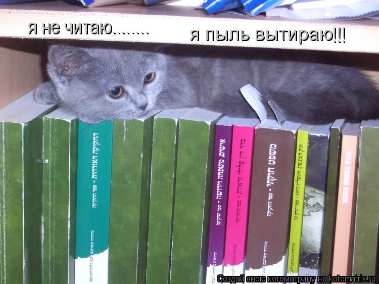 Котоматрица: я пыль вытираю я не читаю........ !!!