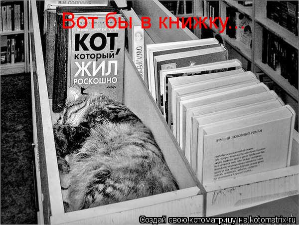 Вот бы в книжку...... Котоматрица: Вот бы в книжку...