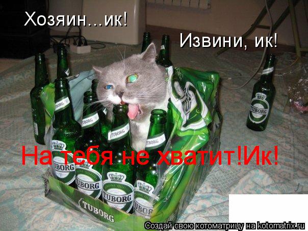 Хозяин...ик! Извини, ик! На тебя не хватит!Ик! На тебя не хватит!Ик! На тебя не хватит!Ик!... Котоматрица: Хозяин...ик! Извини, ик! На тебя не хватит!Ик! На тебя не хватит!Ик! На тебя не хватит!Ик!