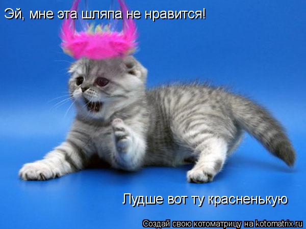 Эй, мне эта шляпа не нравится! Лудше вот ту красненькую... Котоматрица: Эй, мне эта шляпа не нравится! Лудше вот ту красненькую
