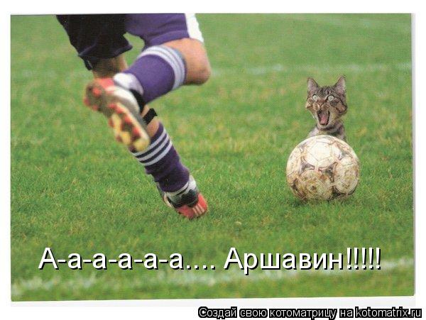 А-а-а-а-а-а.... Аршавин!!!!!... Котоматрица: А-а-а-а-а-а.... Аршавин!!!!!