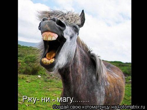 Ржу- ни - магу........... Котоматрица: Ржу- ни - магу........