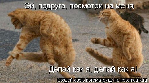 Эй, подруга, посмотри на меня Делай как я, делай как я! ,... Котоматрица: Эй, подруга, посмотри на меня Делай как я, делай как я! ,