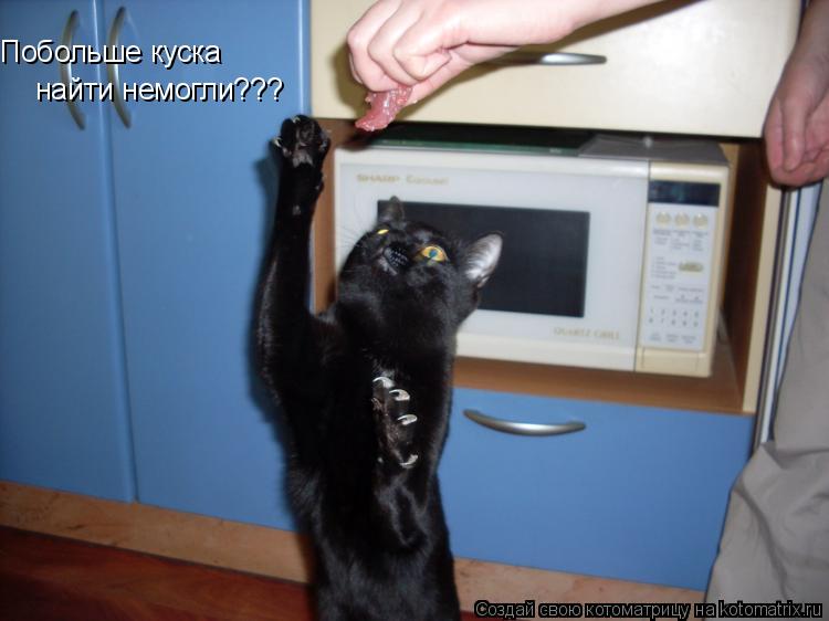 Побольше куска найти немогли???... Котоматрица: Побольше куска найти немогли???