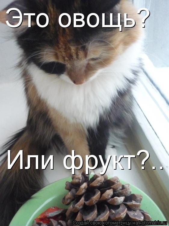 Это овощь? Или фрукт?..... Котоматрица: Это овощь? Или фрукт?..