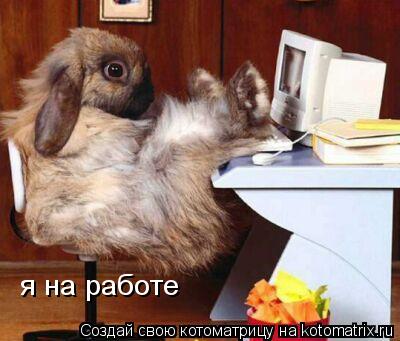 я на работе... Котоматрица: я на работе