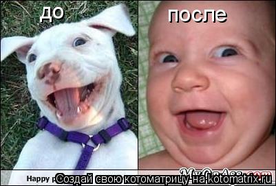 до после... Котоматрица: до после