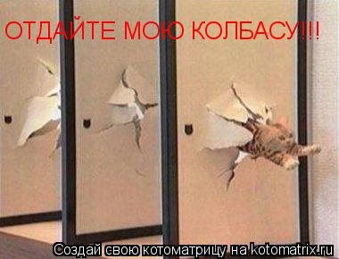 ОТДАЙТЕ МОЮ КОЛБАСУ!!!... Котоматрица: ОТДАЙТЕ МОЮ КОЛБАСУ!!!