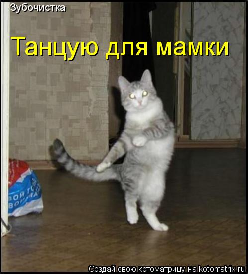 Зубочистка Танцую для мамки... Котоматрица: Зубочистка Танцую для мамки