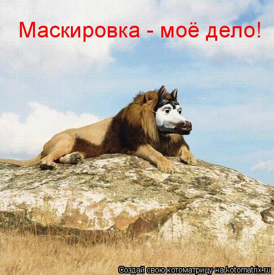 Маскировка - моё дело!... Котоматрица: Маскировка - моё дело!