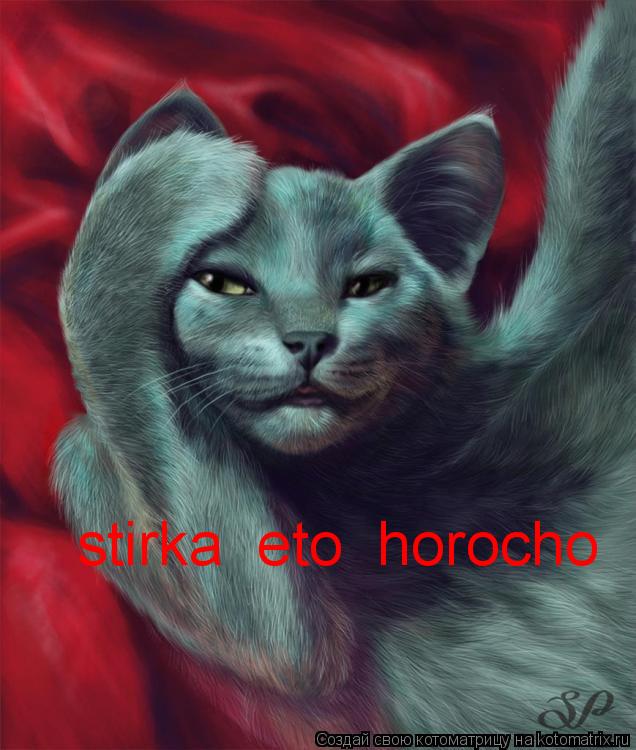 stirka eto horocho... Котоматрица: stirka eto horocho