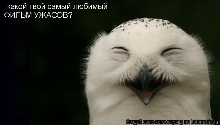 какой твой самый любимый ФИЛЬМ УЖАСОВ?... Котоматрица: какой твой самый любимый ФИЛЬМ УЖАСОВ?