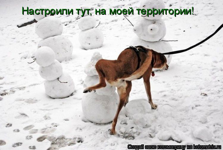Настроили тут, на моей территории!... Котоматрица: Настроили тут, на моей территории!