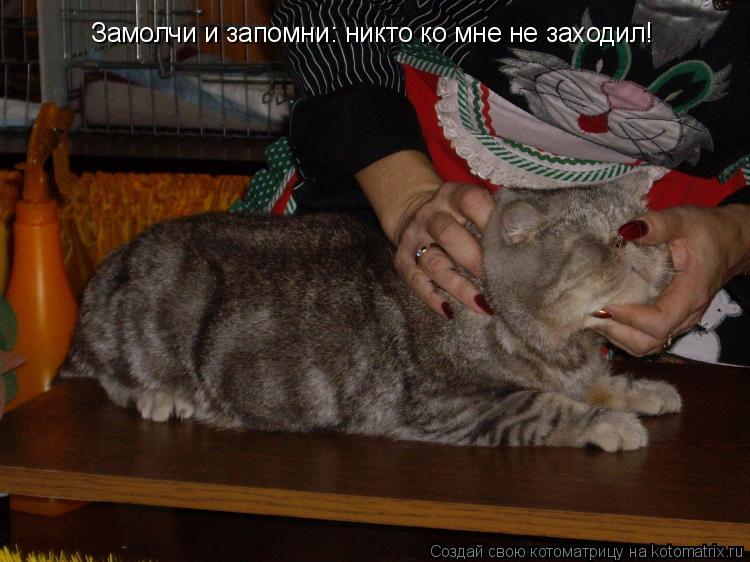 Котоматрица: Замолчи и запомни: никто ко мне не заходил!