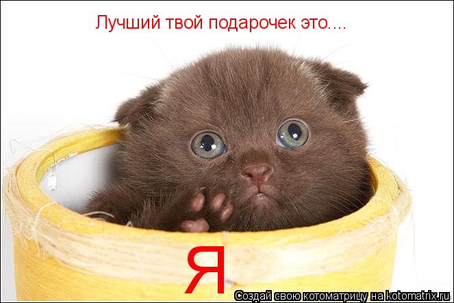 Лучший твой подарочек это.... Я... Котоматрица: Лучший твой подарочек это.... Я