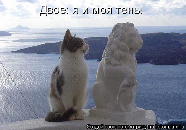 Двое: я и моя тень!... Котоматрица: Двое: я и моя тень!