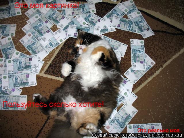Это моя картинка! Пользуйтесь сколько хотите! Это реально моя.... Котоматрица: Это моя картинка! Пользуйтесь сколько хотите! Это реально моя.