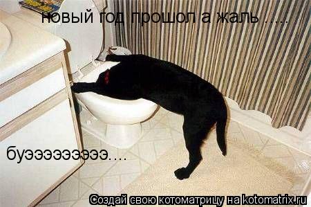 Котоматрица: новый год прошол а жаль ..... буэээээээээ....