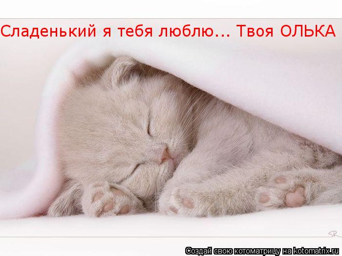 Сладенький я тебя люблю... Твоя ОЛЬКА... Котоматрица: Сладенький я тебя люблю... Твоя ОЛЬКА