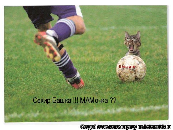 Cекир Башка !!! МАМочка ?? ПОмогите... Котоматрица: Cекир Башка !!! МАМочка ?? ПОмогите